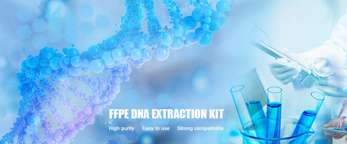 China best FFPE DNA Extraction Kit on sales